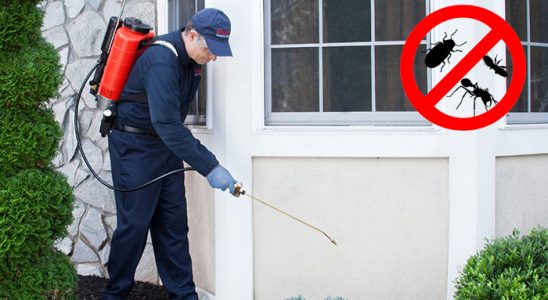 Efeler Dezenfeksiyon böcek ilaçlama ve haşere kontrolü — ilaclama-tr.com